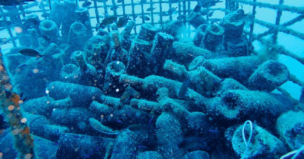 Italy’s Underwater Vineyard Produces Unique Sea-Aged Wines