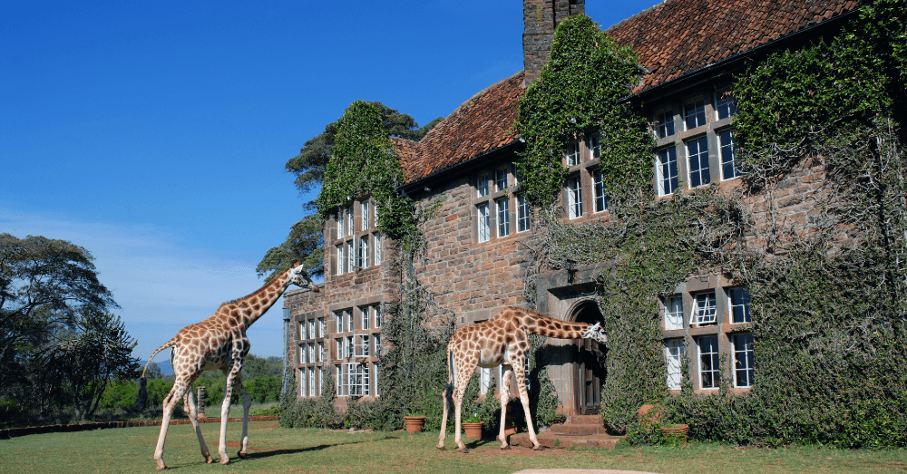 Icy Igloos and Sand Castles: The Most Unconventional Hotels Around The World