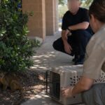 A Honey Bear Beat the Texas Heat Behind a Pizza Shop Trash Can